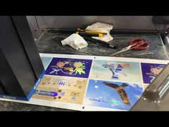 Roll To Roll Foil Stamping And Varnishing Machine Máy in tăng cường nhãn kỹ thuật số