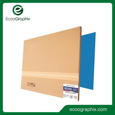 Bảng CTCP dương tính hai lớp in Offset trước in