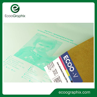 Tấm in màu tím Photopolymer tiêu cực hoạt động để in báo