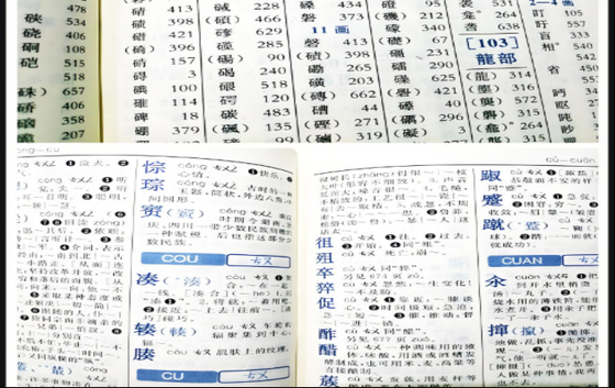 Máy in Offset hai màu hoàn hảo cho hóa đơn hoặc sách tập