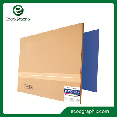 Ecoographix tấm CTP nhiệt hai lớp